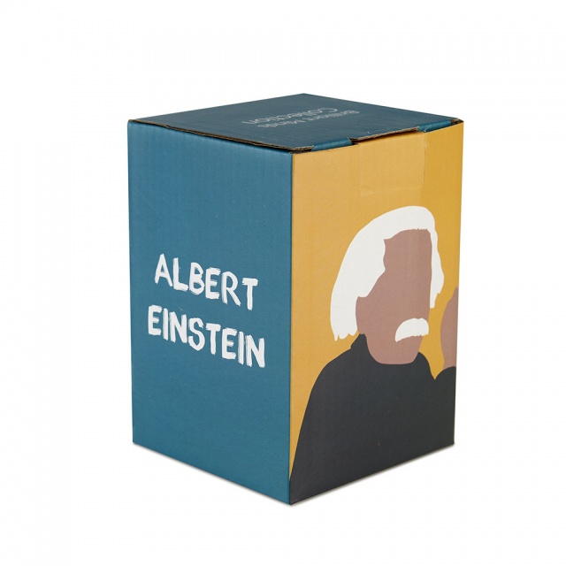     Albert Einstein