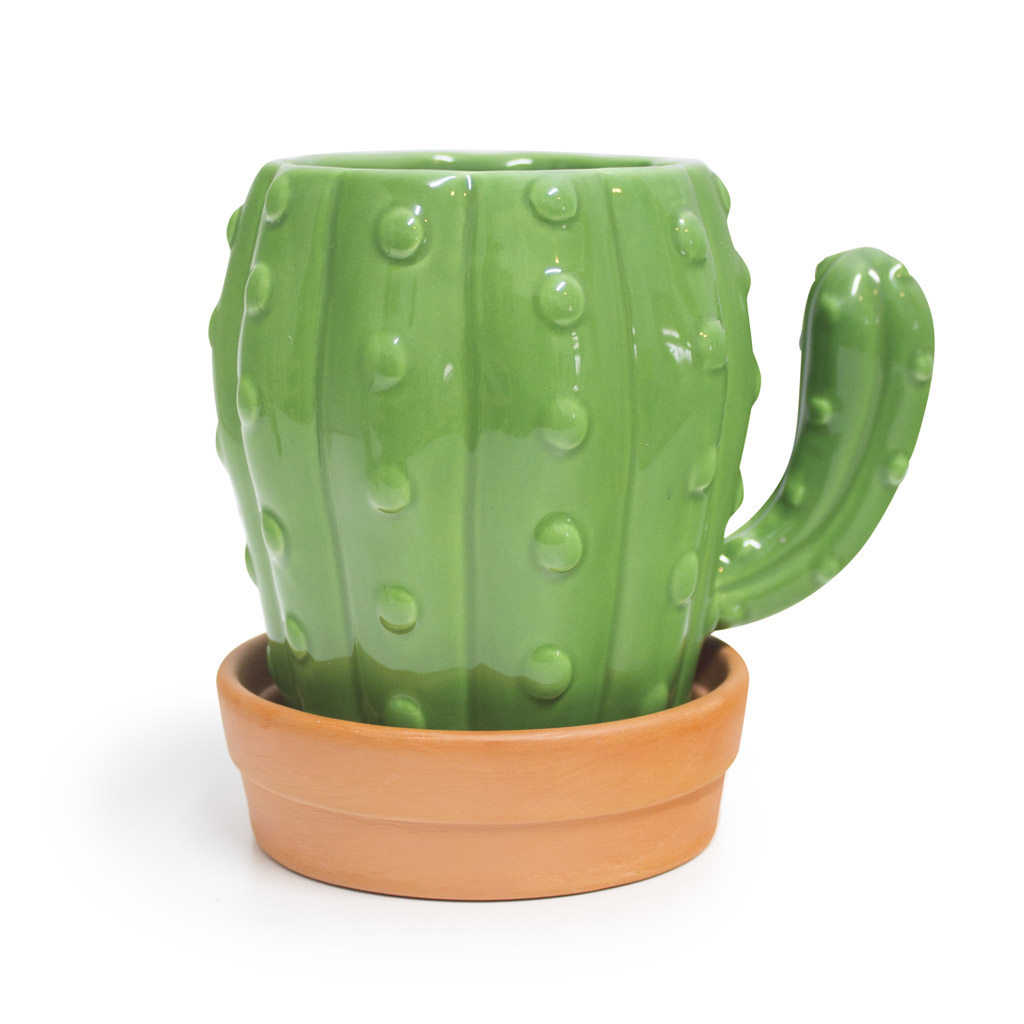 ������ � ������� Cactus 450��