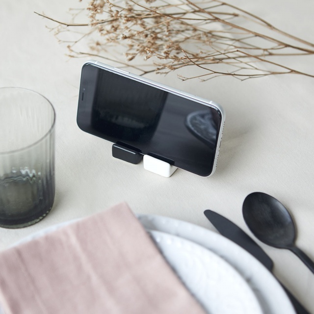 ������� � ��������� Smart Stand