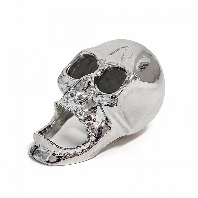 ���������� The�Skull
