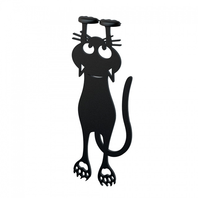 �������� ��� ���� Curious Cat
