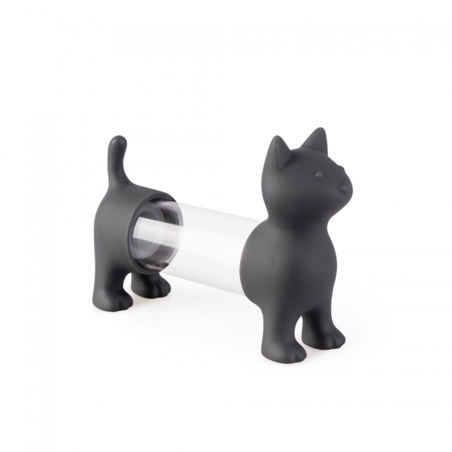 ������� ��� ����, ����� ��� ���������� Cat �����